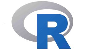 What is R Programming Language?